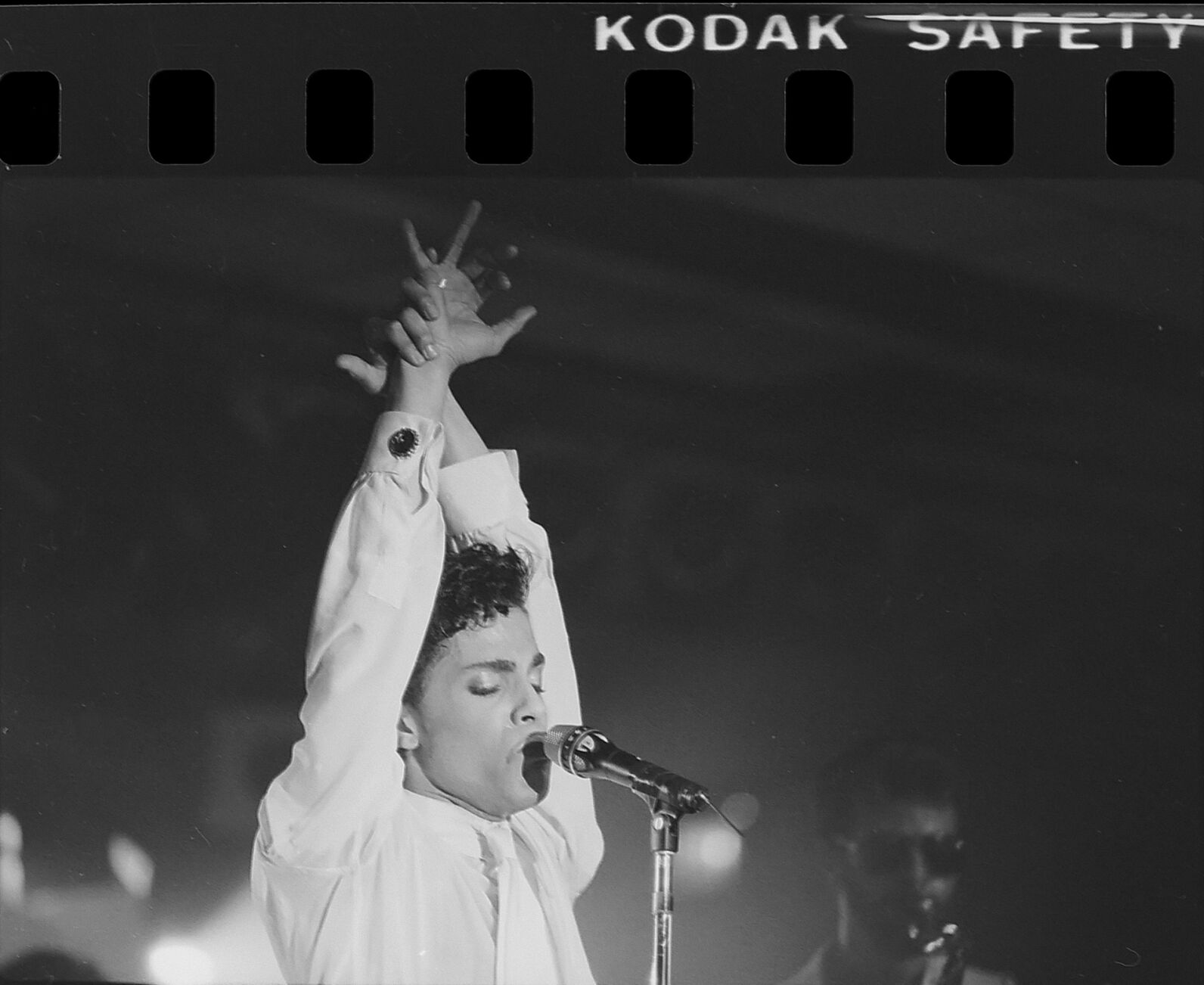 Prince5lm.jpg